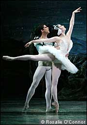 American Ballet theatre's Swan Lake.